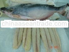 Pungash fish