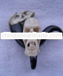 Horn Earring