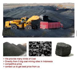 Coal