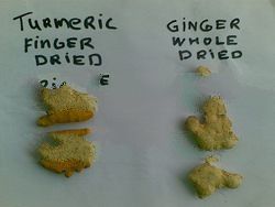 LONG PEPPER;TURMERIC DRIED;GINGER;GALINGAL;NUTMEG, ALPINA GALIGAL;COFFE BEAN;PEPPER;