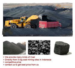 Coking Coal