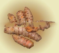 FRESH TUMERIC