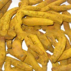 Dried Turmeric Finger Daouble Polish