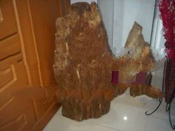 Tomoboo Agarwood