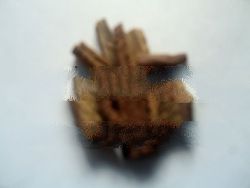 Cinnamon