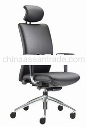 Director Chair