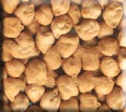 Kabuli Chick Peas , 2013 Crop