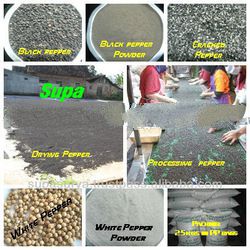 Pepper all grades