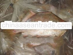 Kok Pomfret