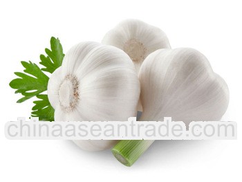 fresh chinese normal white garlic 5.0cm 5.5cm 6.0cm 6.5cm