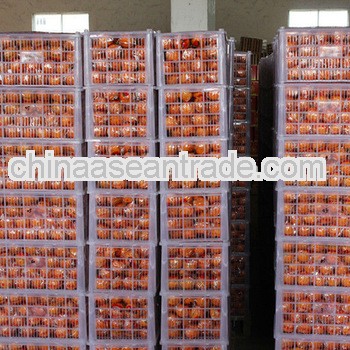 fresh mandarin