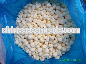 frozen peeled garlic in big packing