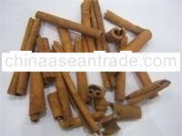 Cinnamon Stick