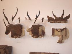 deer sculpture