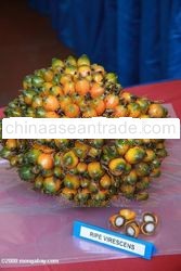 n Crude Palm Oil (With RSPO certification)