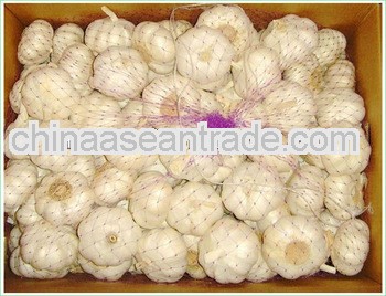 garlic from china popular in world