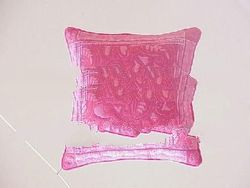 BATIK PILLOW COVER