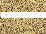 Cumin seeds