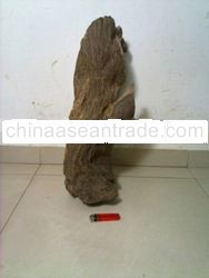 Tomoboo Agarwood