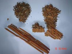 Cassia Vera A Cut