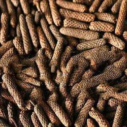 Long Pepper / Pipli