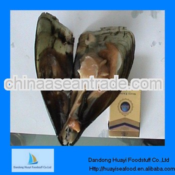 high quality iqf frozen pinna pectinate
