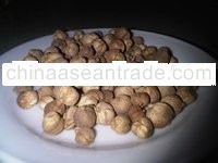 cardamom
