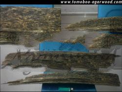 Tomoboo Agarwood