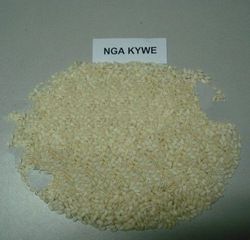 Short Grain Rice