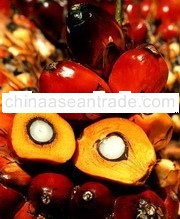 PALM OIL BY PRODUCTS