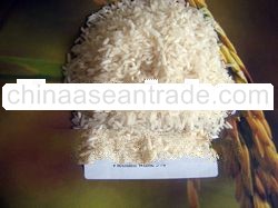 5%, 25% BROKEN LONG GRAIN white and par boiled RICE