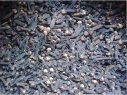  Bali Handmade Stick Filtered Dried Cloves
