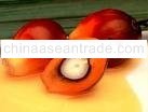 Crude Palm Oil