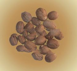 NUTMEG