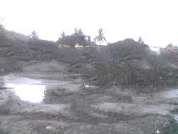 n Steam Coal of HCV with GCV (ADB) 6, 900 kcal / KG rejection 6, 700 kcal / KG