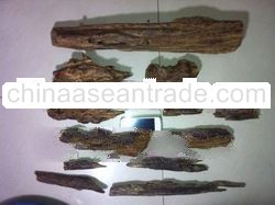 Tomoboo Agarwood