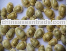Yellow Cowries