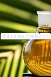 Palm Oil