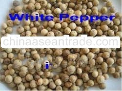 Raw White Pepper Seed