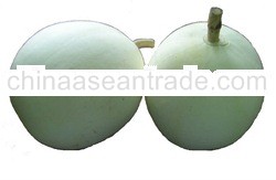 Ballon fruit white small