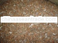 Cinnamon (Korinjte B Broken Clean)