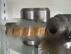 Worm Gear