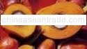 CRUDE PALM OIL