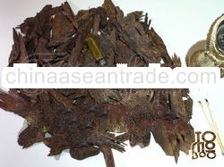 Tomoboo Agarwood