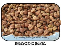 Kala Chana