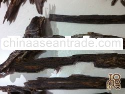 Tomoboo Agarwood