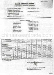 steam COAL