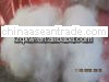 polyester staple fiber <sybrook@hotmail.com>