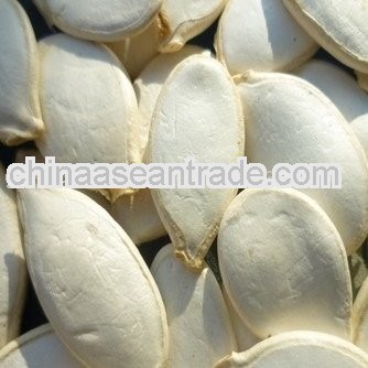 pumpkin seeds