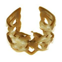 horn bracelets